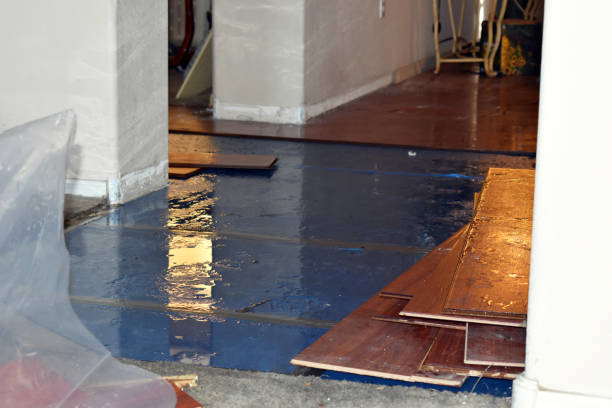 Professional Water Damage Restoration technician working in Raymond, MS
